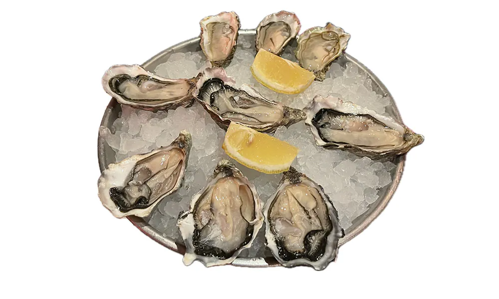 Oysters at Hot Crab，a Seafood Restaurant in Richardson